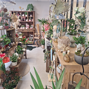 Fleurs coupées fraîches Champagné, Le Mans (72)