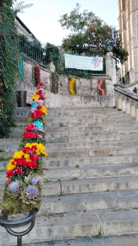 Entre cours et jardins