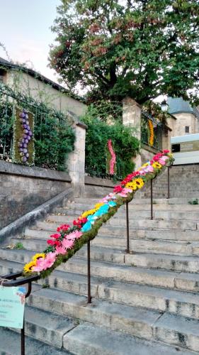 Entre cours et jardins