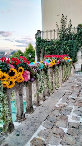 Entre cours et jardins