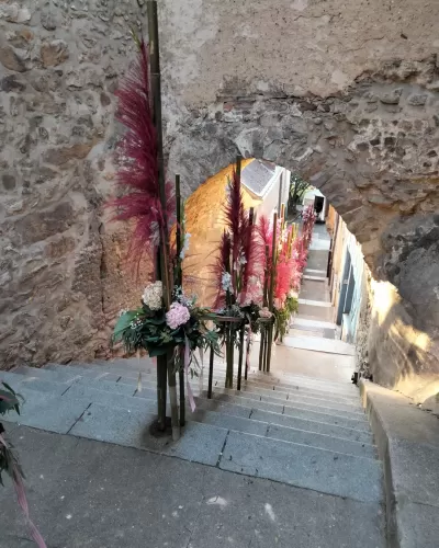 Entre cours et jardins