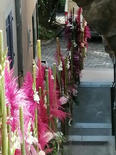 Entre cours et jardins